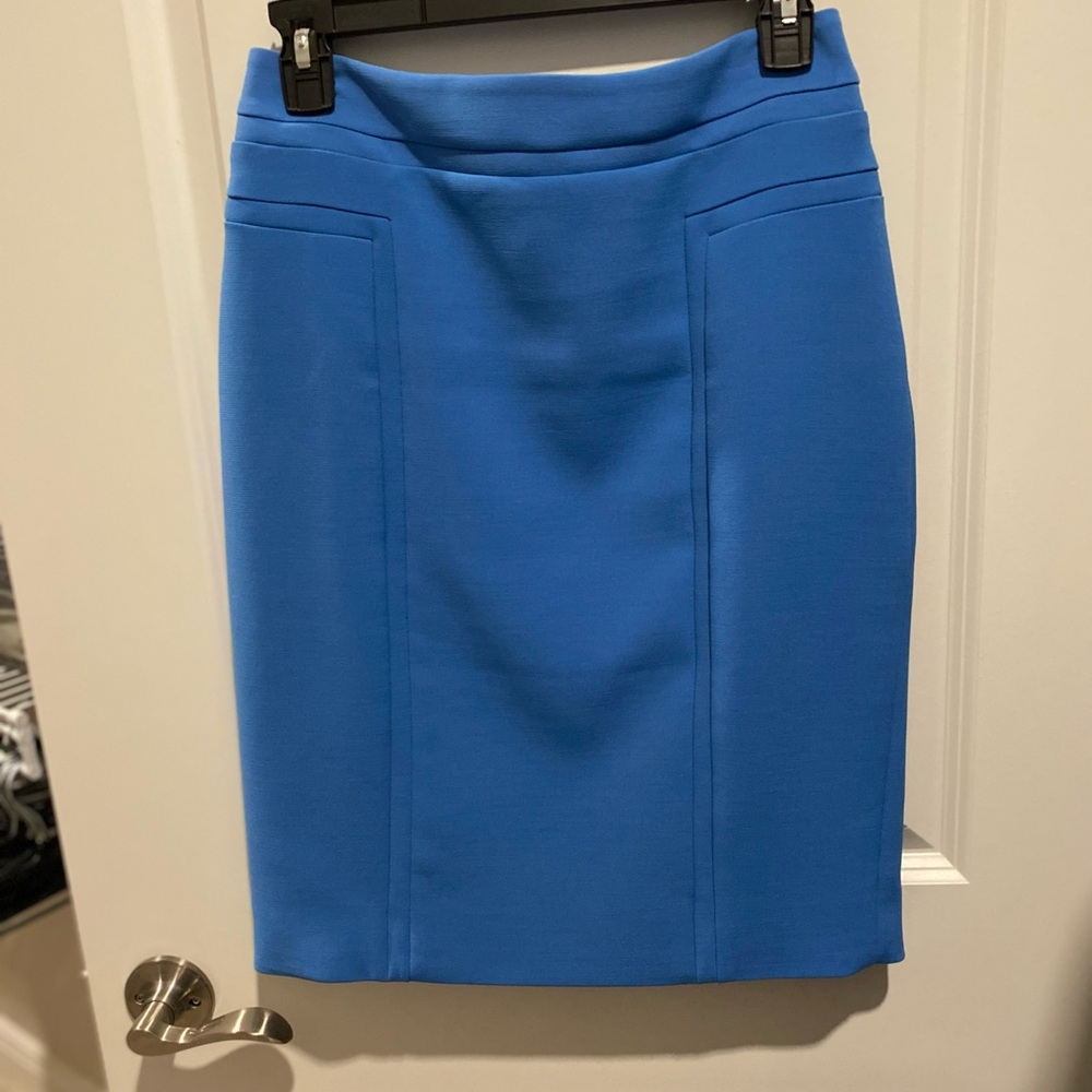 Skirt by WHBM.  Size 2.  EUC.